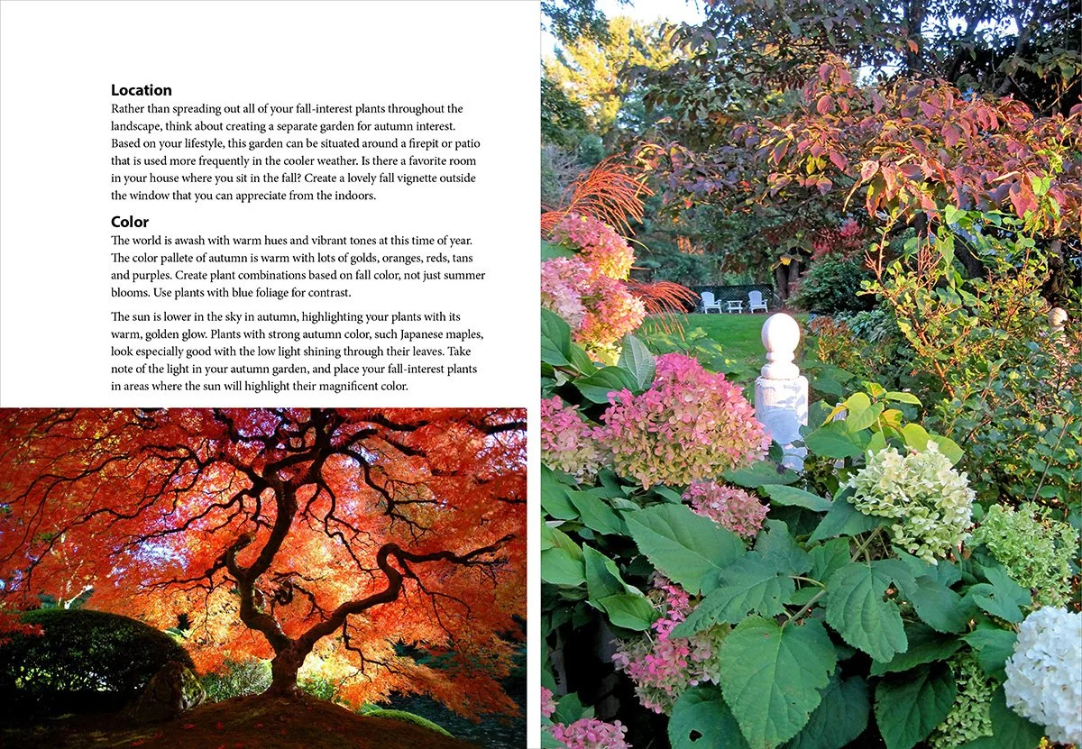 Fabulous Fall Gardens — Enchanted Gardens